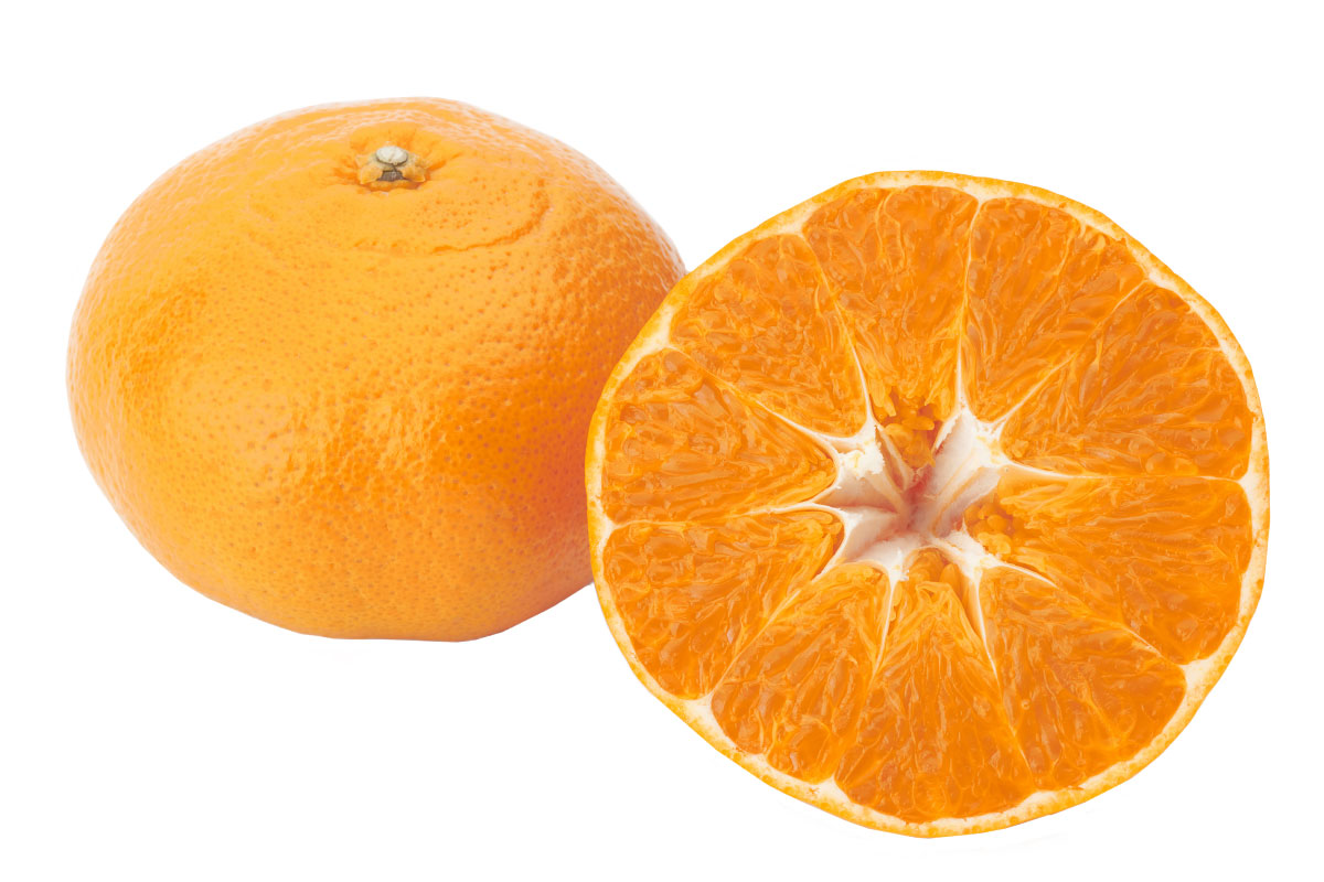 愛媛のかんきつ