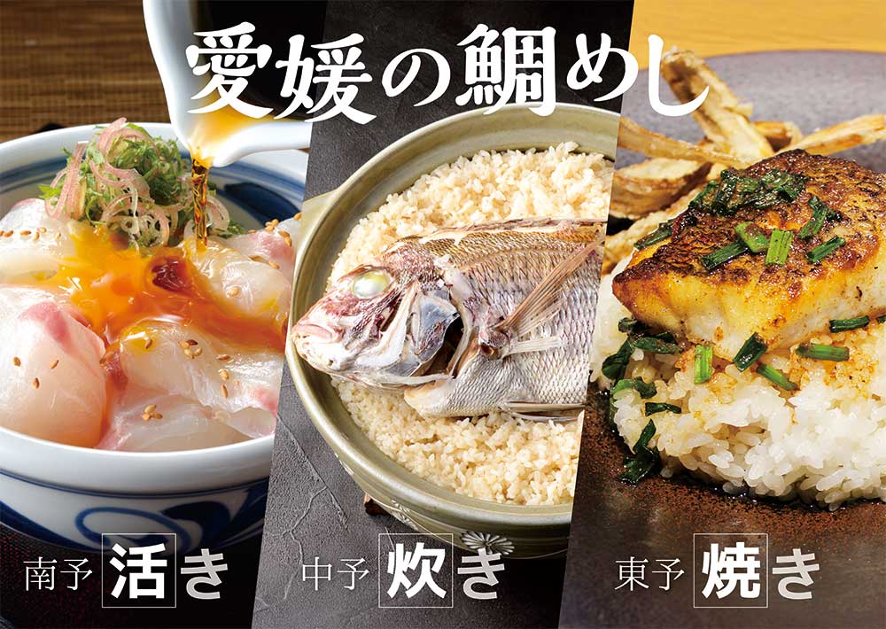 愛媛の鯛めし