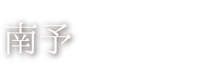 南予 活き鯛めし