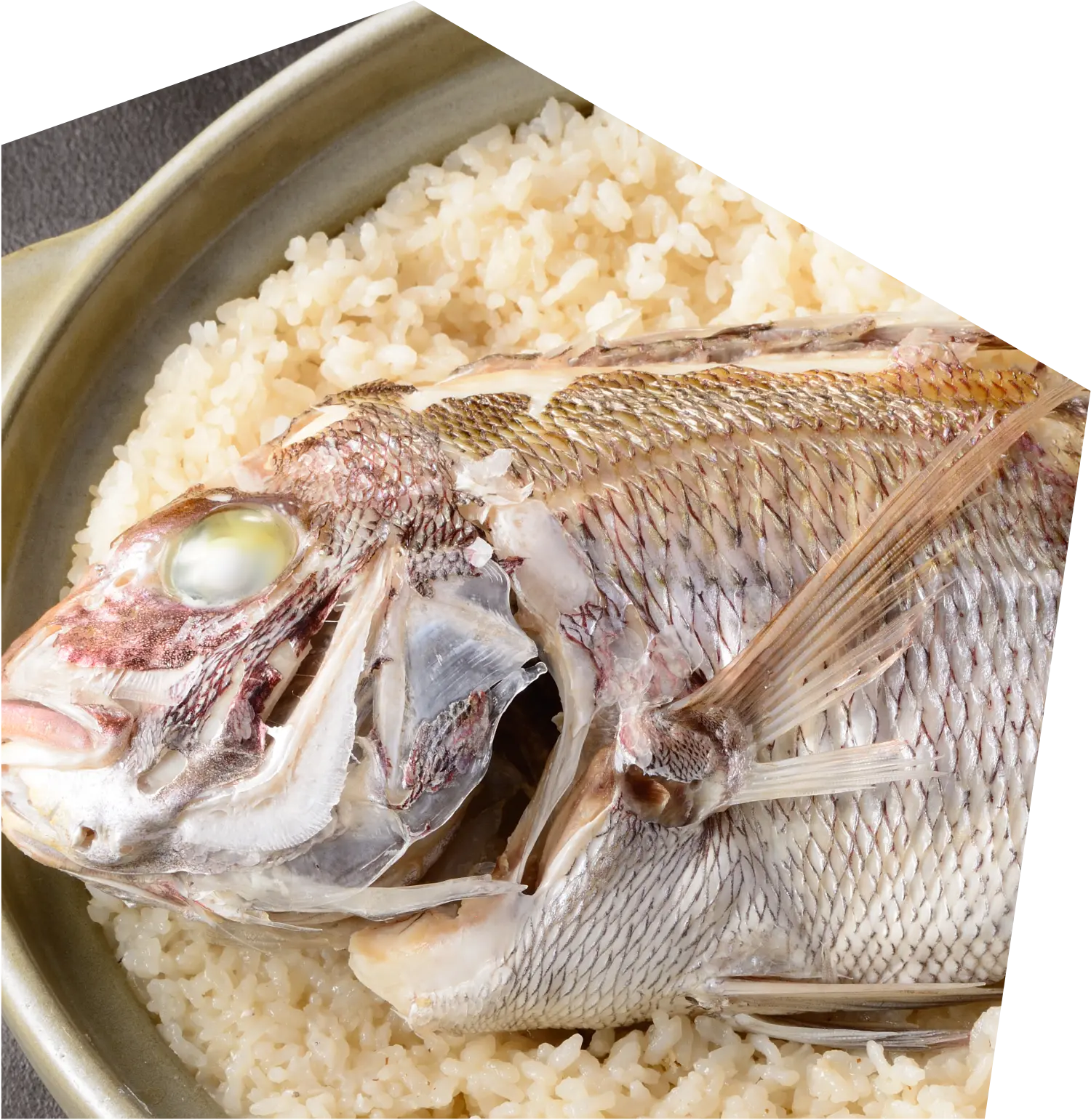 松山 市 鯛めし ランキング