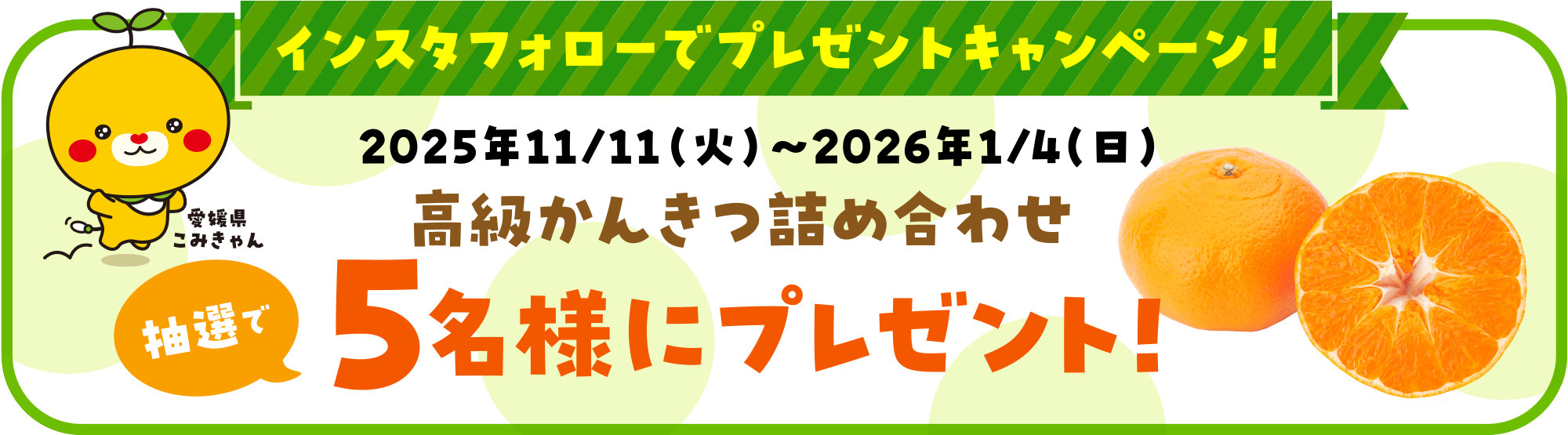 インスタフォローでプレゼントキャンペーン！
