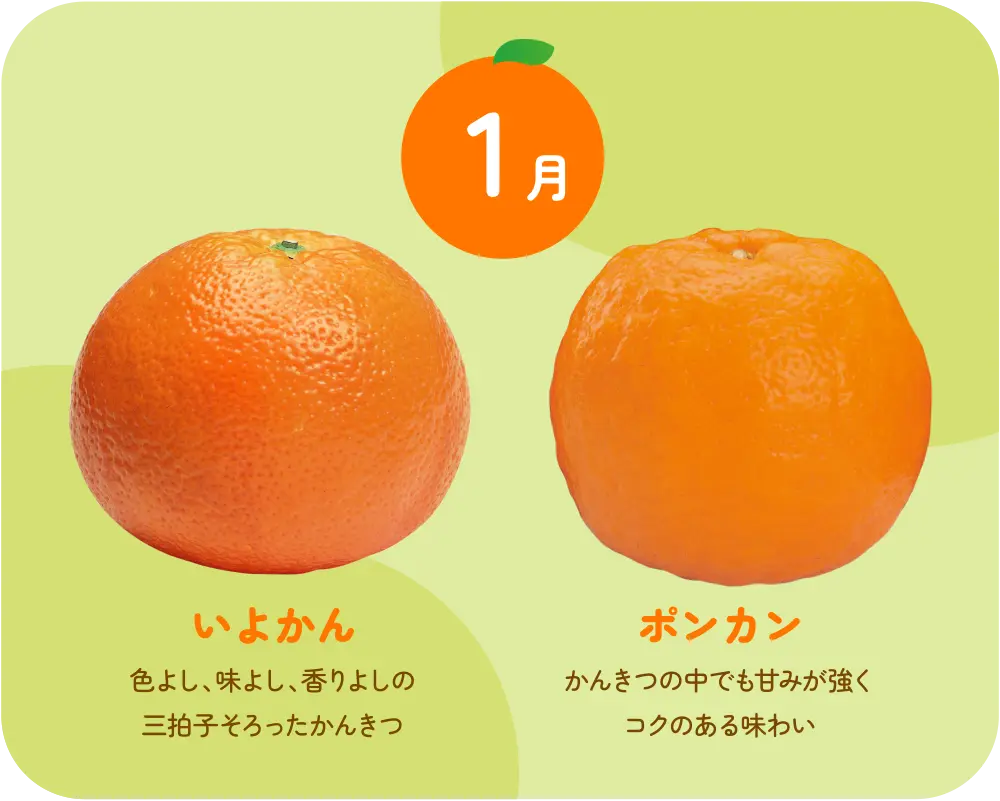 いよかん・ぽんかん