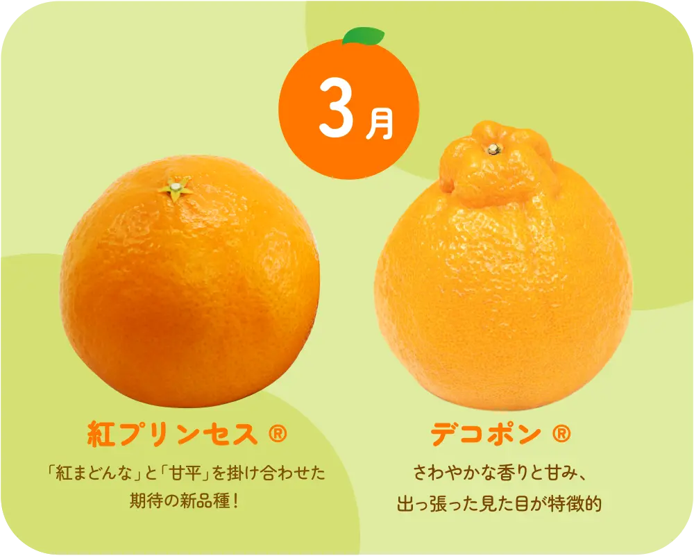 紅プリンセス・デコポン