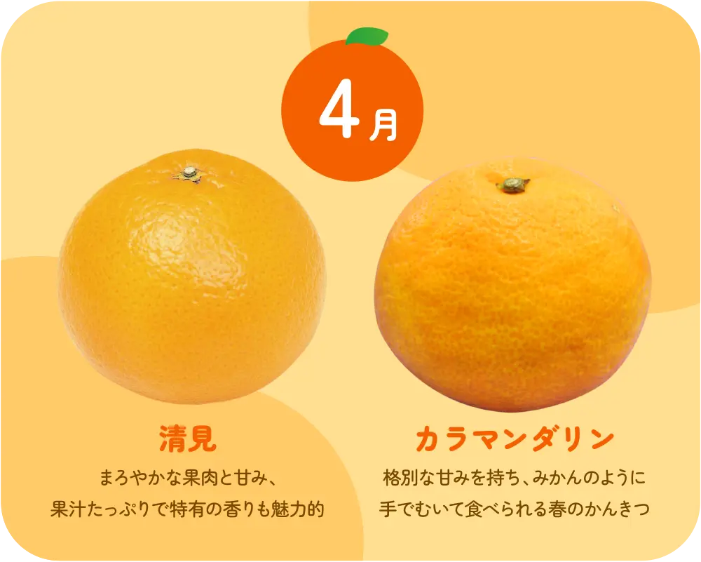 清見・カラマンダリン