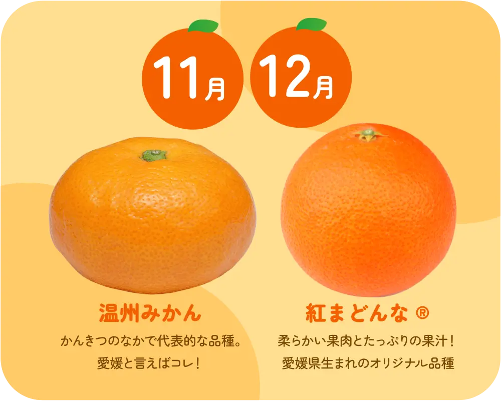 温州みかん・紅まどんな