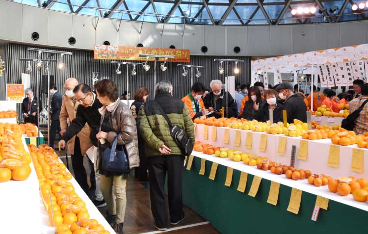 えひめみかん祭り