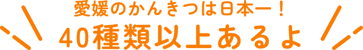 愛媛のかんきつは日本一！40種類以上あるよ