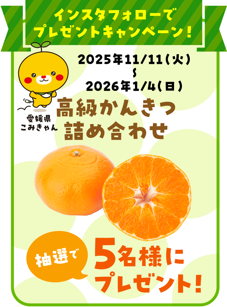 インスタフォローでプレゼントキャンペーン！