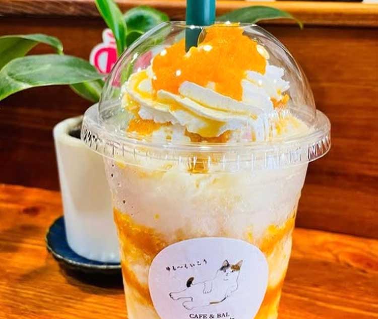 飲むかき氷　せとかヨーグルト
