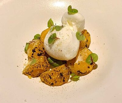 炙り蜜柑(せとか、デコポン、甘平)とブラータチーズのサラダ仕立て