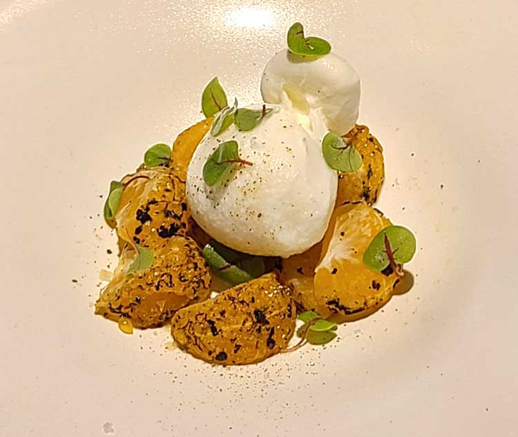 炙り蜜柑(せとか、デコポン、甘平)とブラータチーズのサラダ仕立て