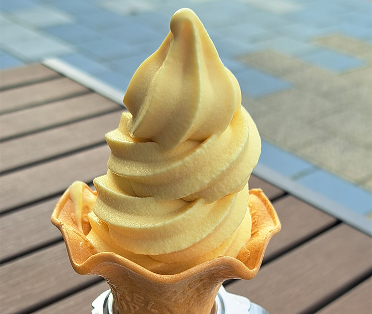 紅まどんなソフトクリーム